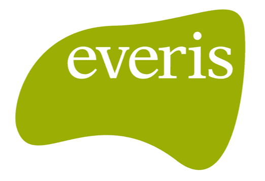 logo de everis